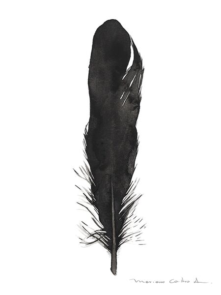 Pluma negra 1, acuarela
