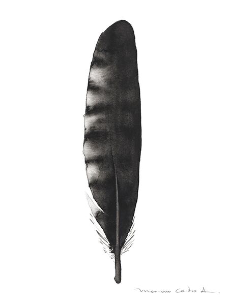 Pluma negra 2, acuarela